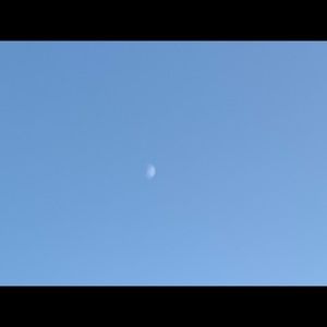 Meet your Posher, Norma